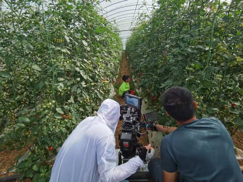 濮阳产品宣传视频拍摄公司进阶指南，助力品牌抢占传播高地